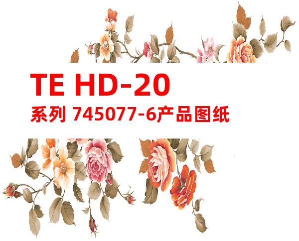 TE HD-20系列 745077-6产品图纸